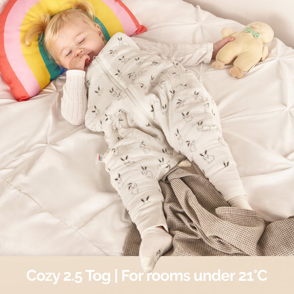 Baby Sleeping Bag with Legs Winter 2.5 Tog - 1 to 4 years Old - Muslin Cotton OEKO-TEX® STANDARD 100